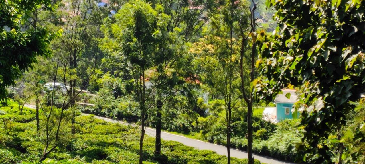 Adithya Sunrise View Cottage Kotagiri Dış mekan fotoğraf